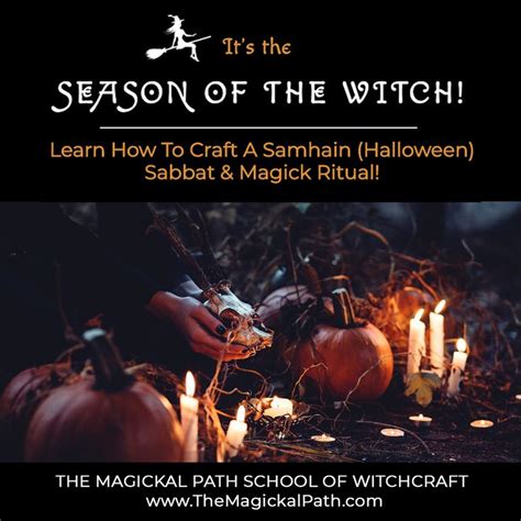 Witchcraft halloween domain